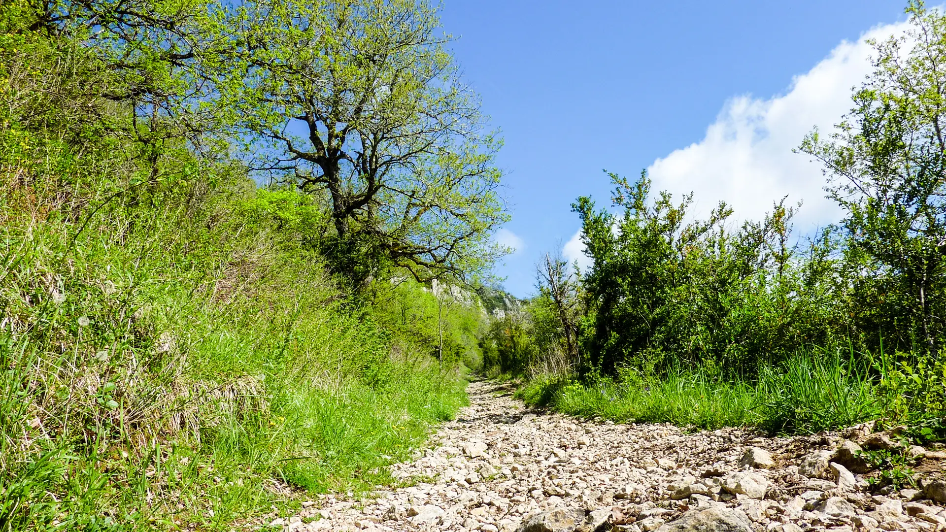 Lacaunhe - Sentier de pierres montant sur le Roc Rouge © Lot Tourisme - C. Sanchez