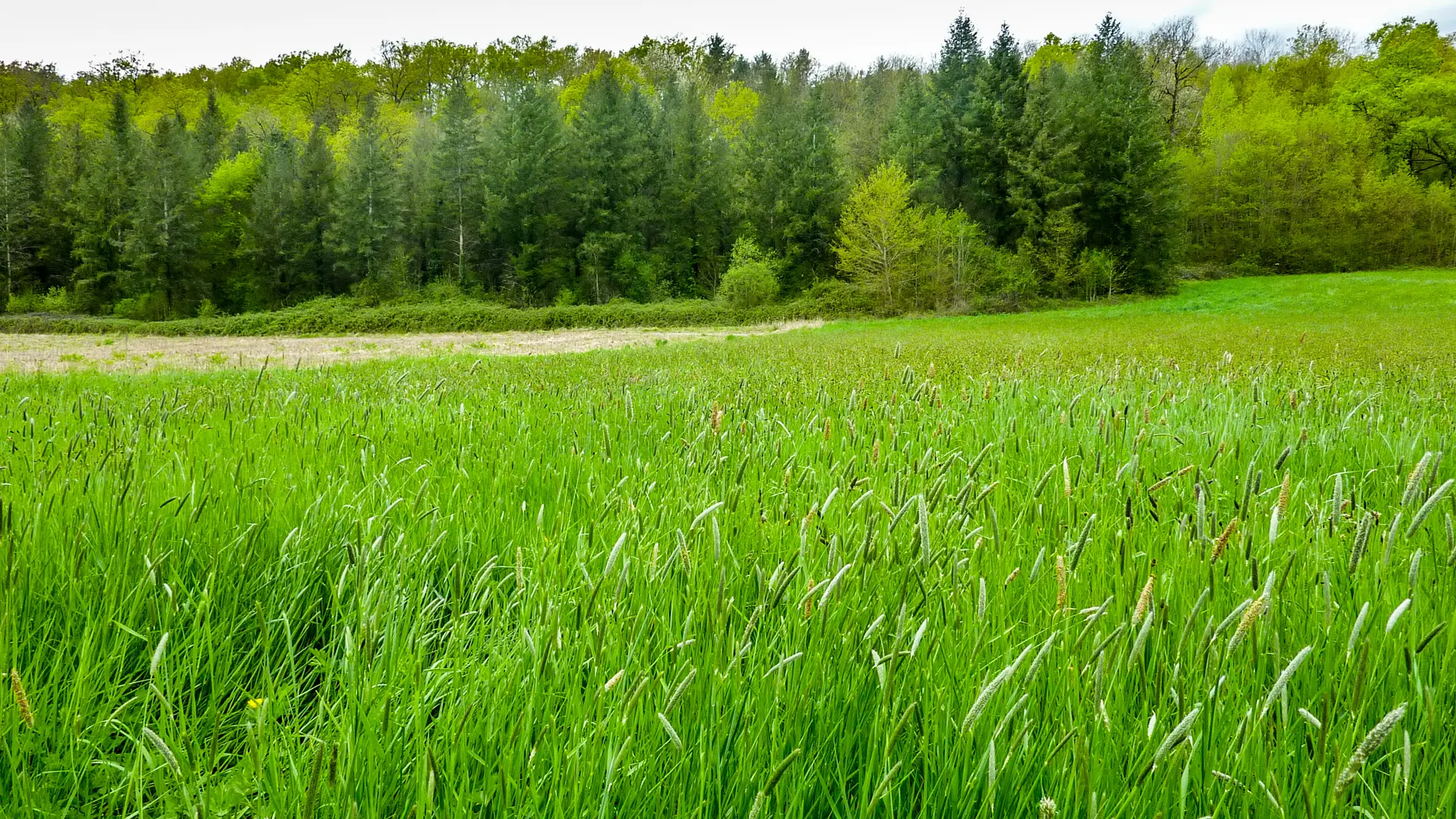 Laprade - Bosquet de Laprade © Lot Tourisme - C. Sanchez