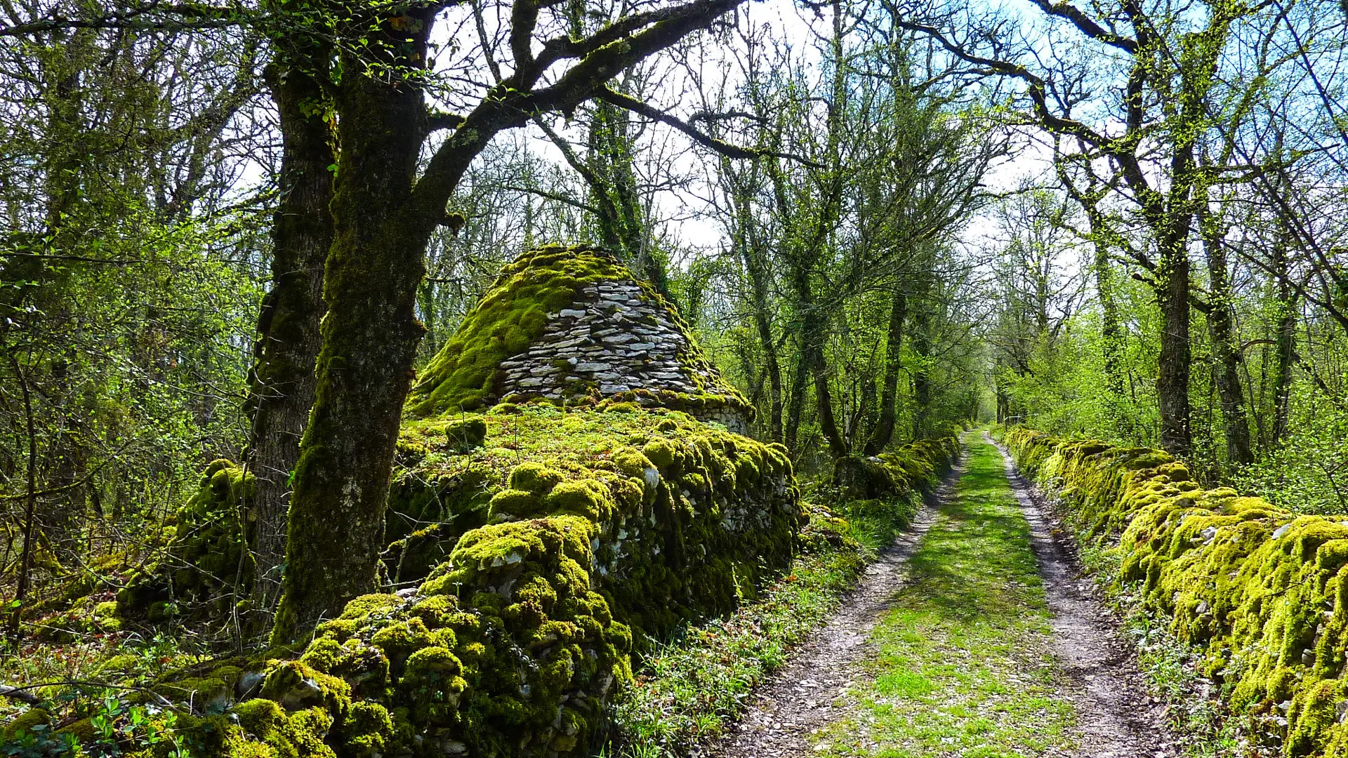 Las Cornières - Gariotte Quercynoise du Bois de Couanac  © Lot Tourisme - C. Sanchez