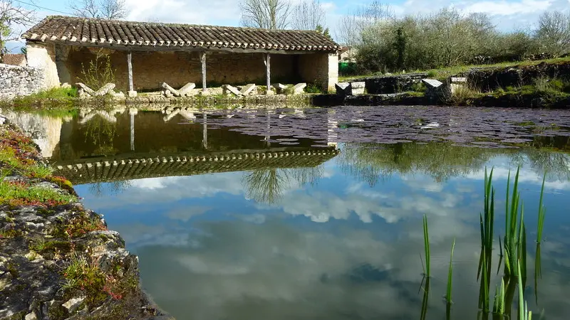 Lavoir papillon de l'escabasse