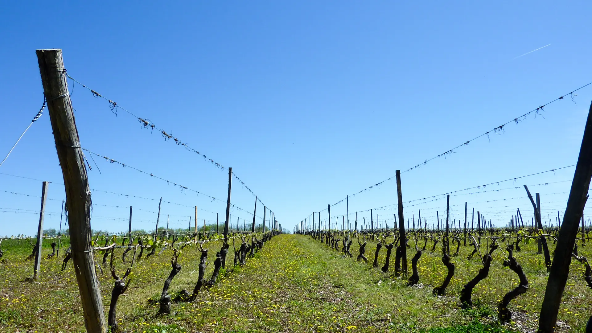 Le Barbier -  Balade dans les vignes © Lot Tourisme - C. Sanchez