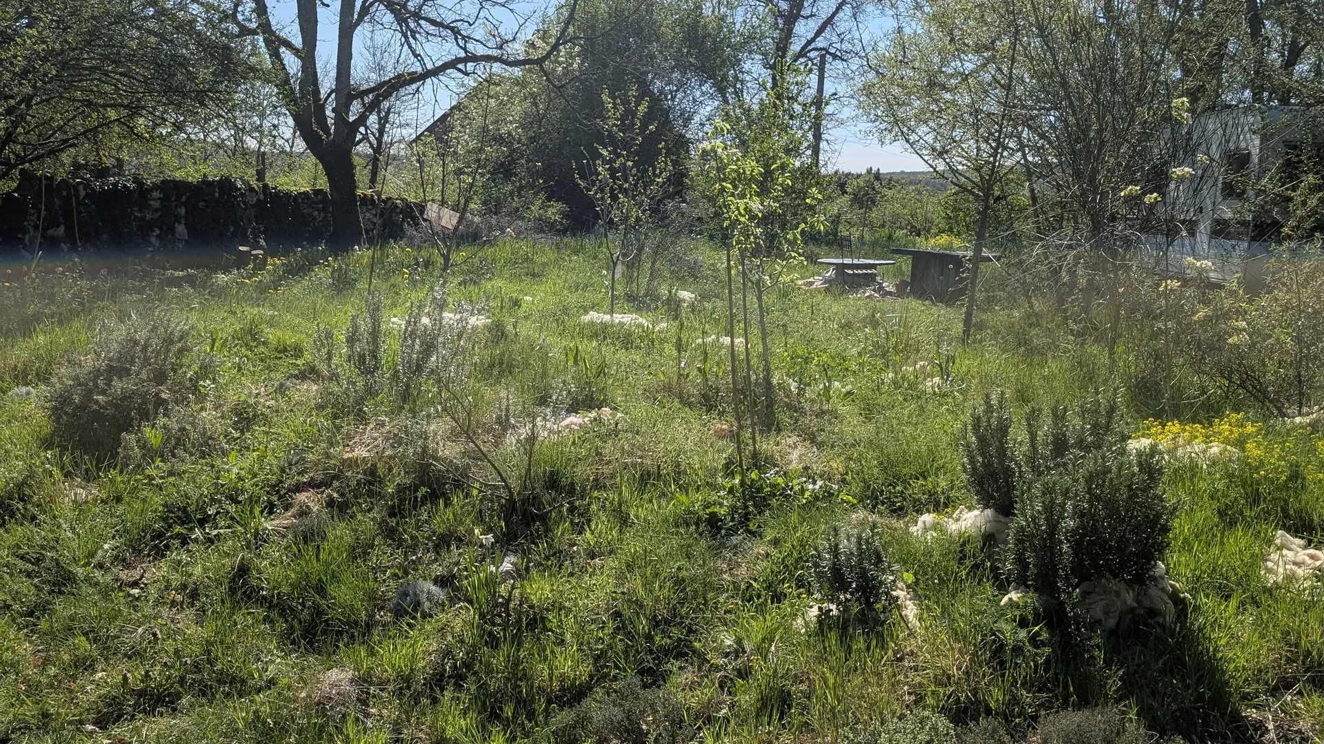 Le Jardin Aromatique