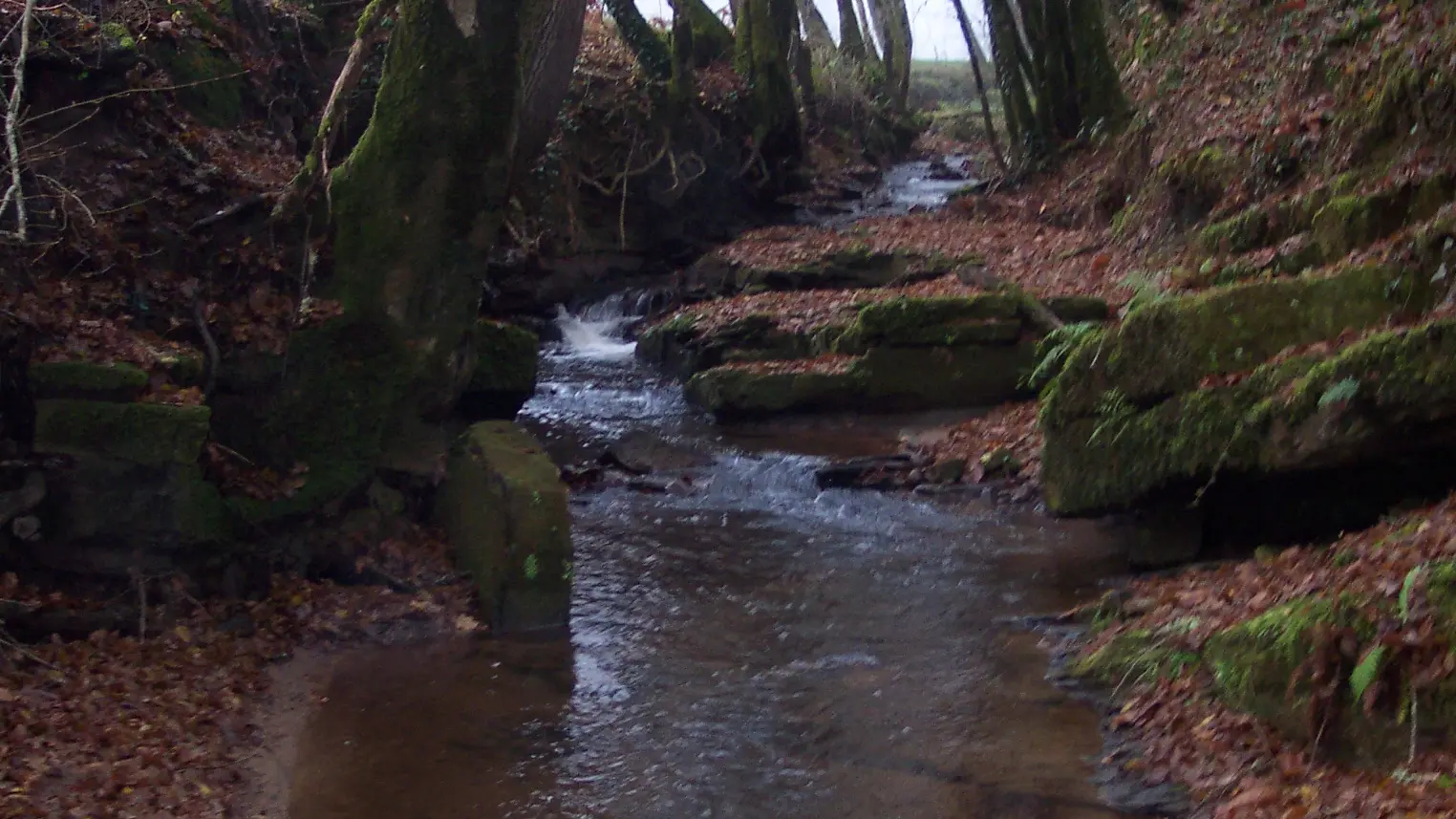 Le Lacoste_Lostanges