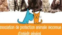 Le Recours Poils et Plumes 46