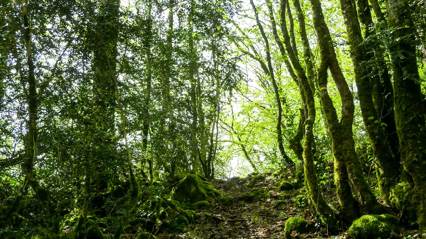Le Roc - Montée sur le roc des Monges © Lot Tourisme - C. Sanchez