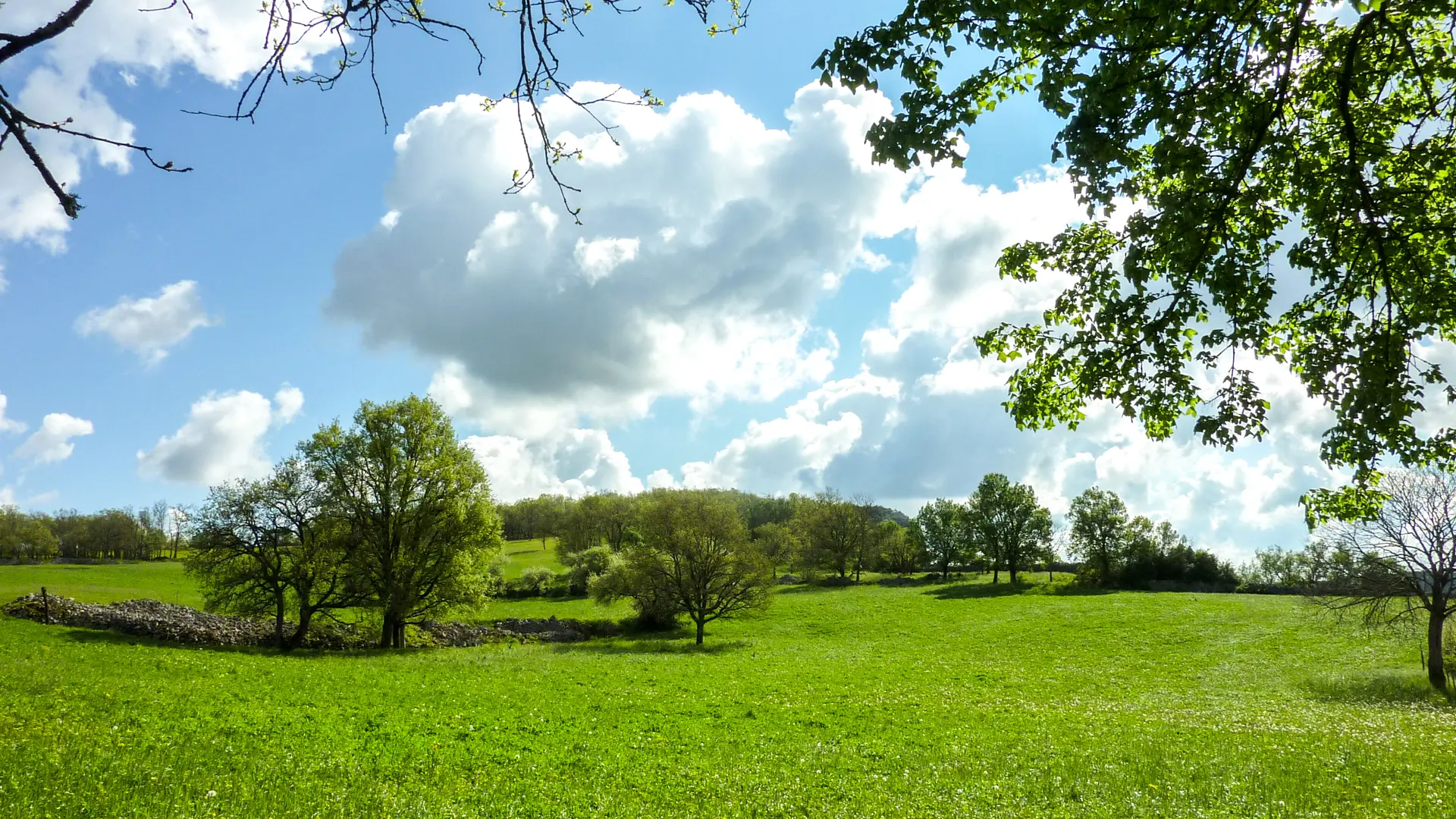 Le Teuron - prairie verdoyante © Lot Tourisme - C. Sanchez