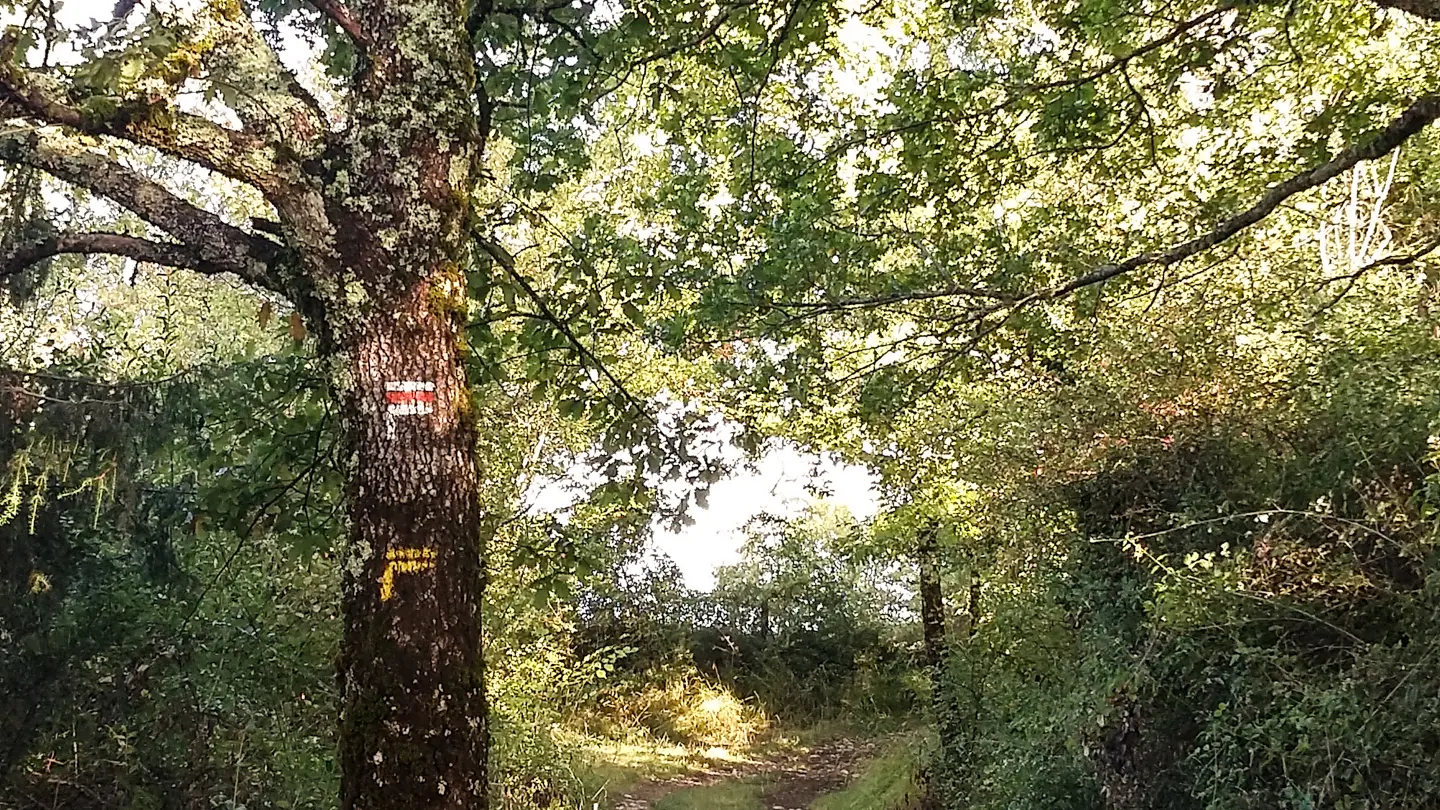 Le chemin au 2 visages - balisage GR et PR_02 © Lot Tourisme - A. Leconte