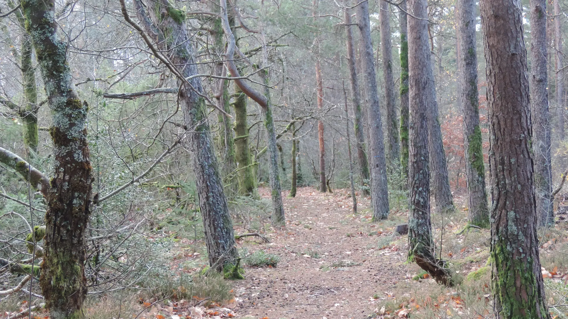 Le départ du chemin
