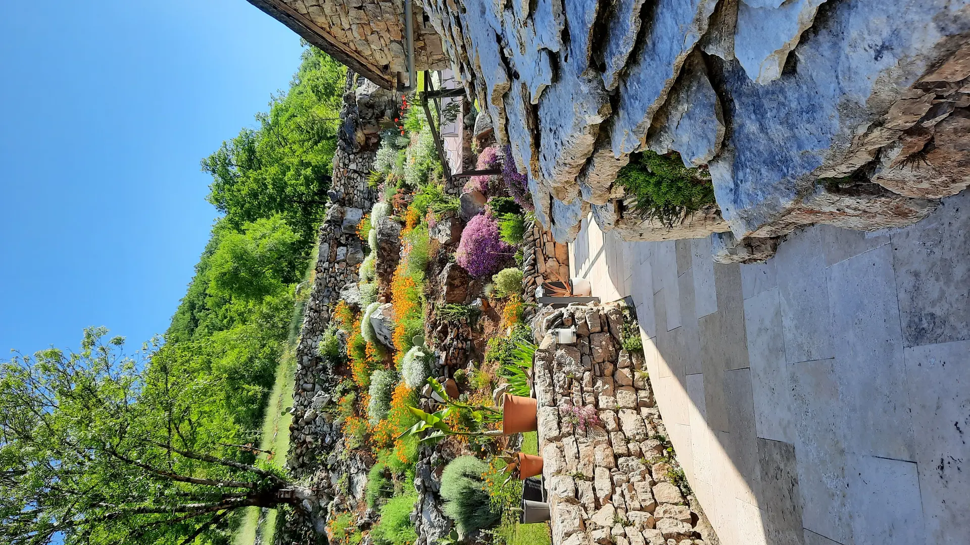 Le jardin en fleurs