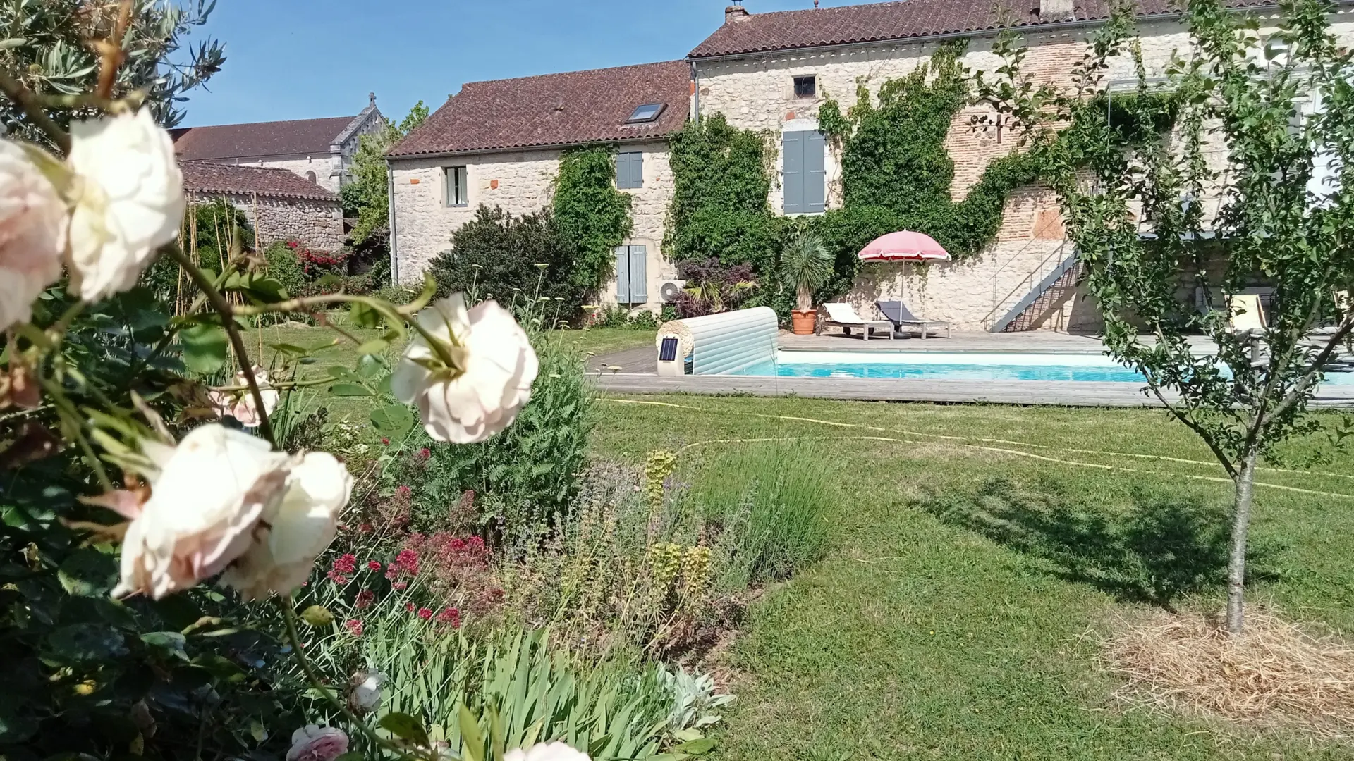 Le jardin et la piscine