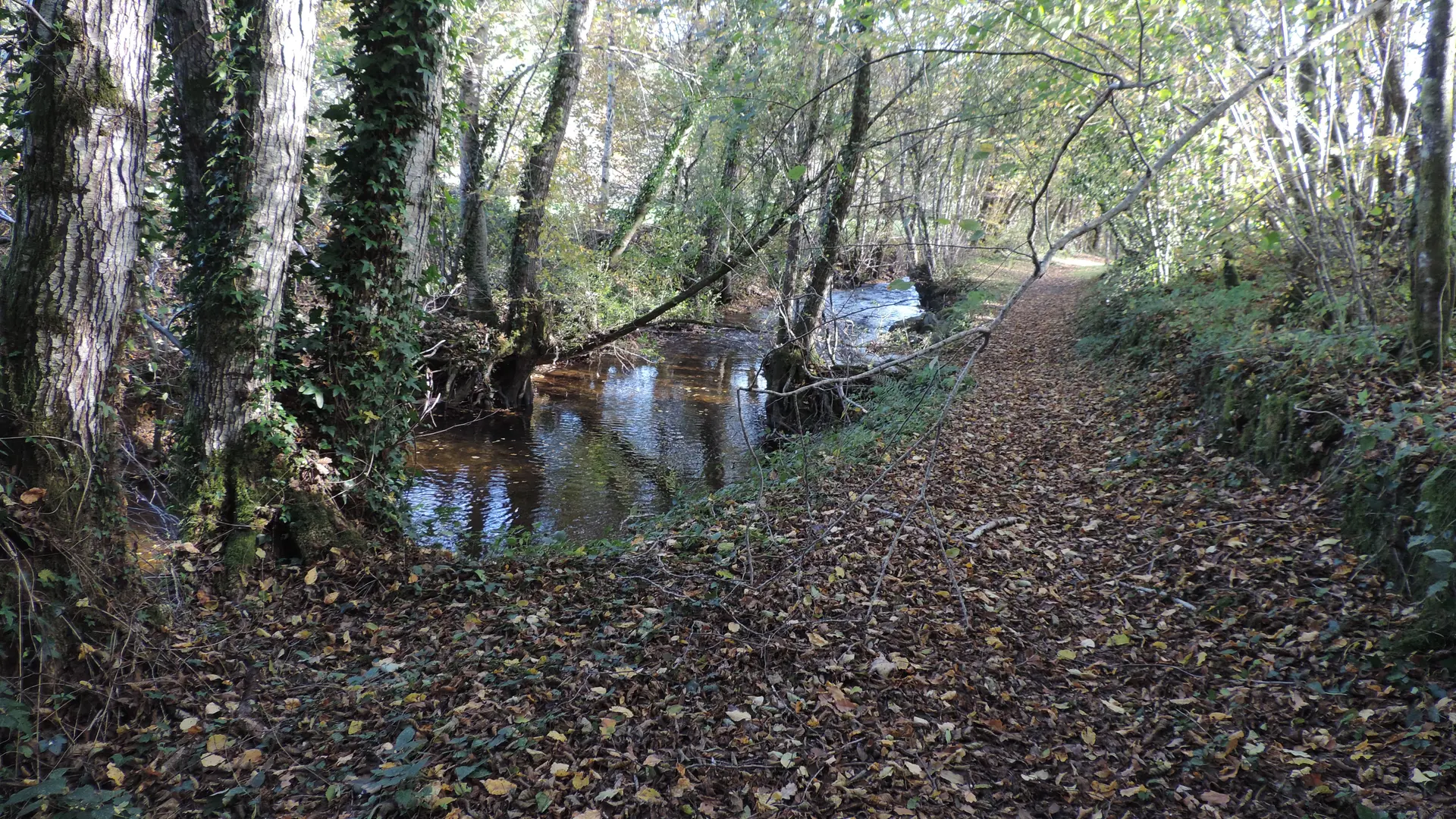 Le long du ruisseau Souvigne
