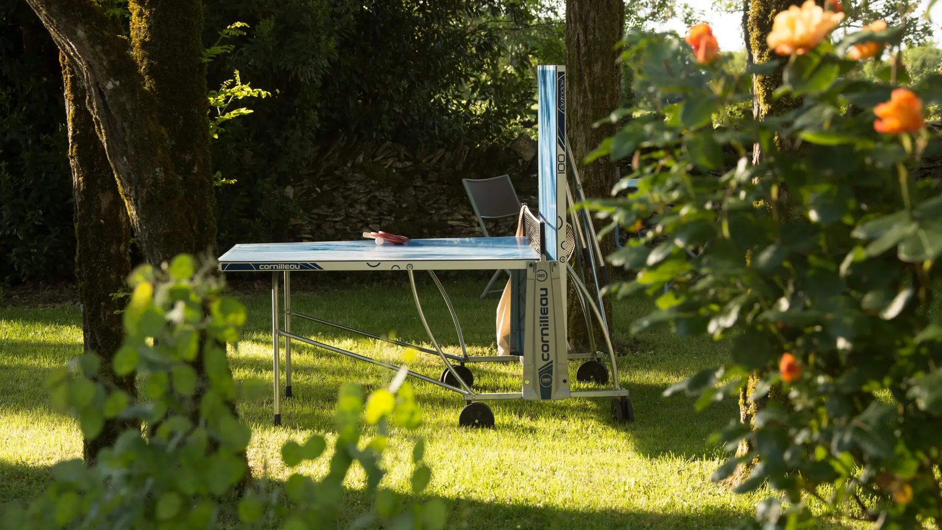 Le Domaine de Bel Air-la table de ping pong