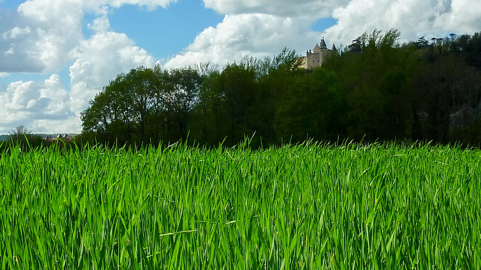 Les Couailloux - Chateau de Mercues reignant sur le bosquet © Lot Tourisme - C. Sanchez