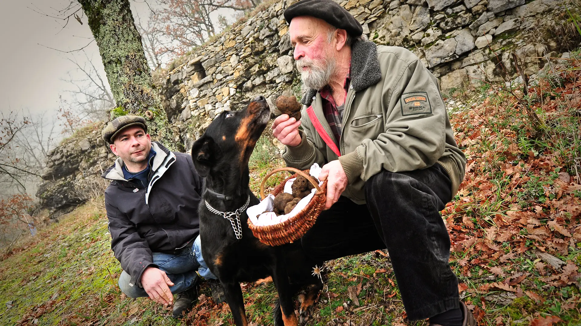 Les Boris père et fils et leur chien truffier_01 © Boris - Lot Tourisme