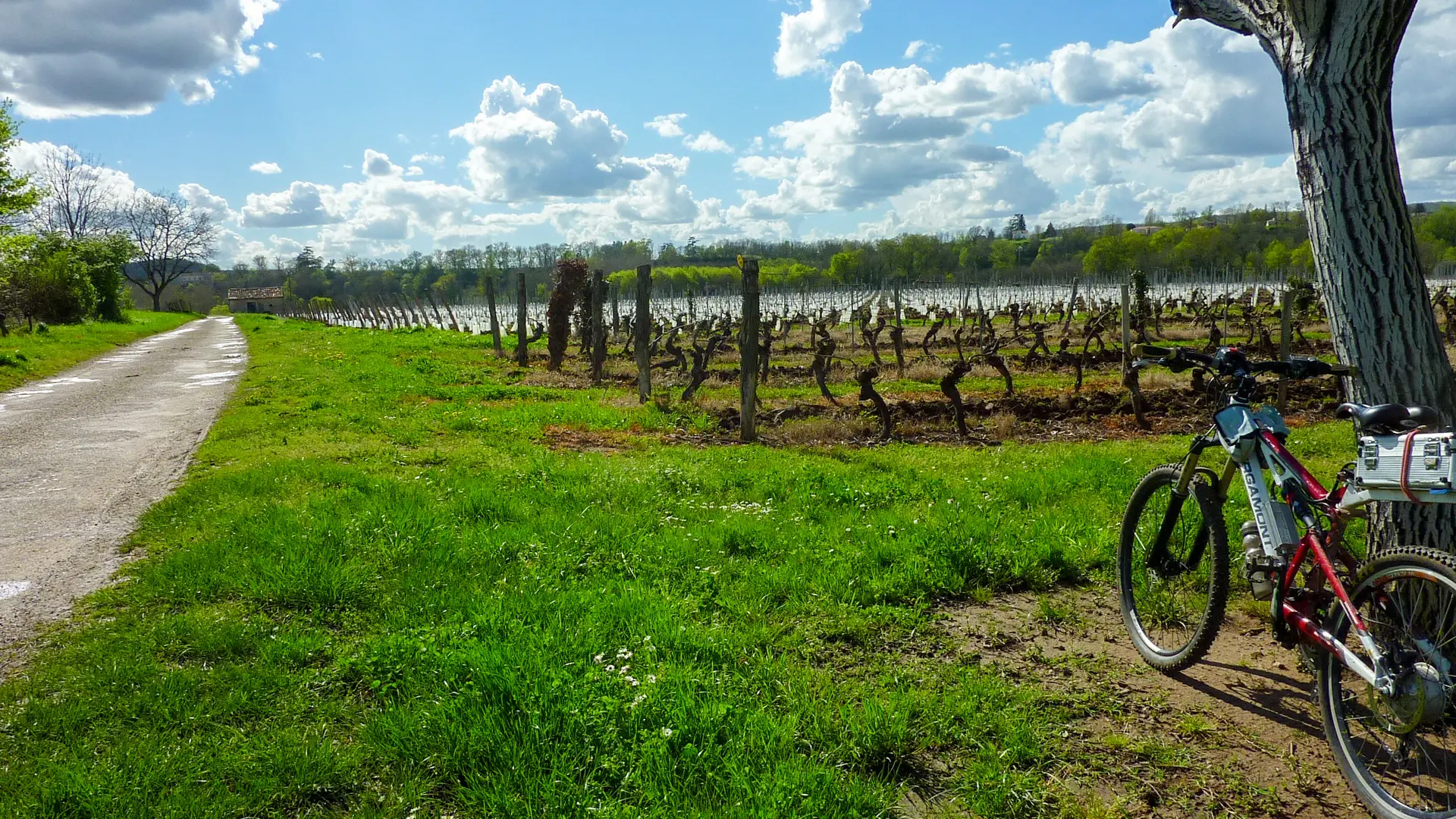 Les Trémouls - Balade dans les vignes © Lot Tourisme - C. Sanchez