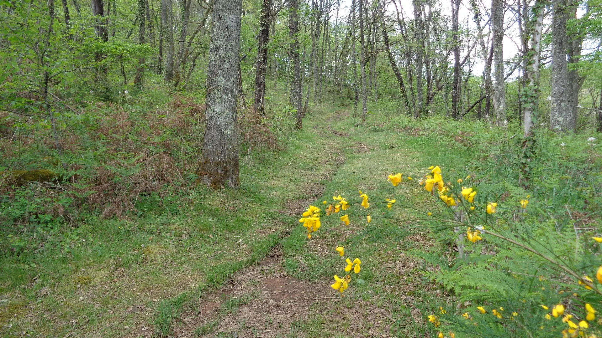 Les chemins retrouvés