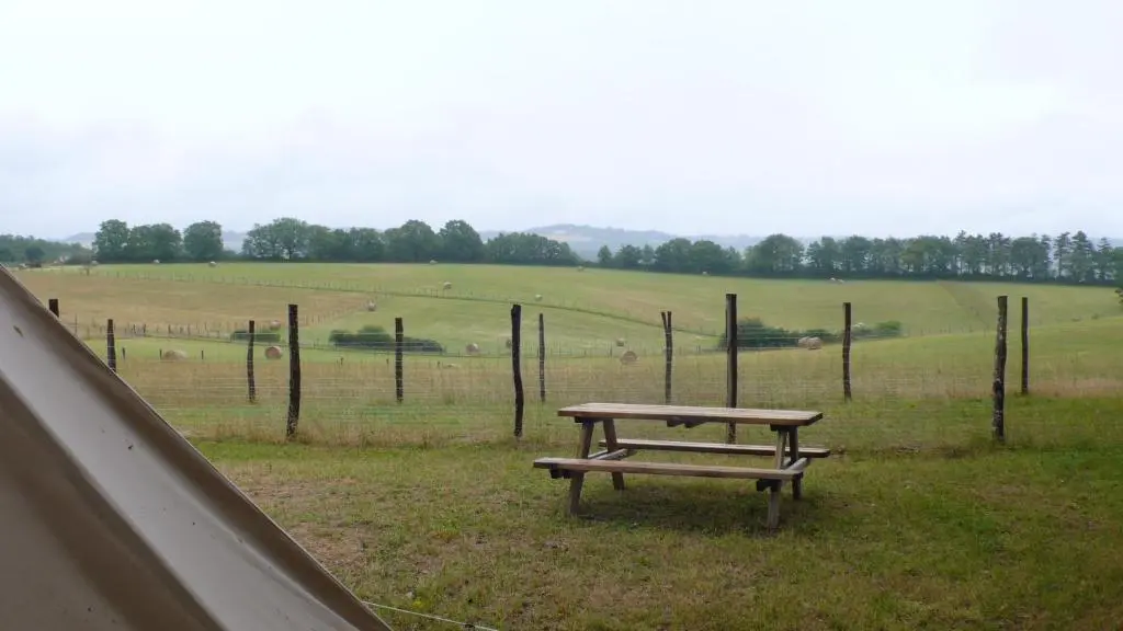 Les alpagas du Quercy © Sylvie SORLIÉ (5)