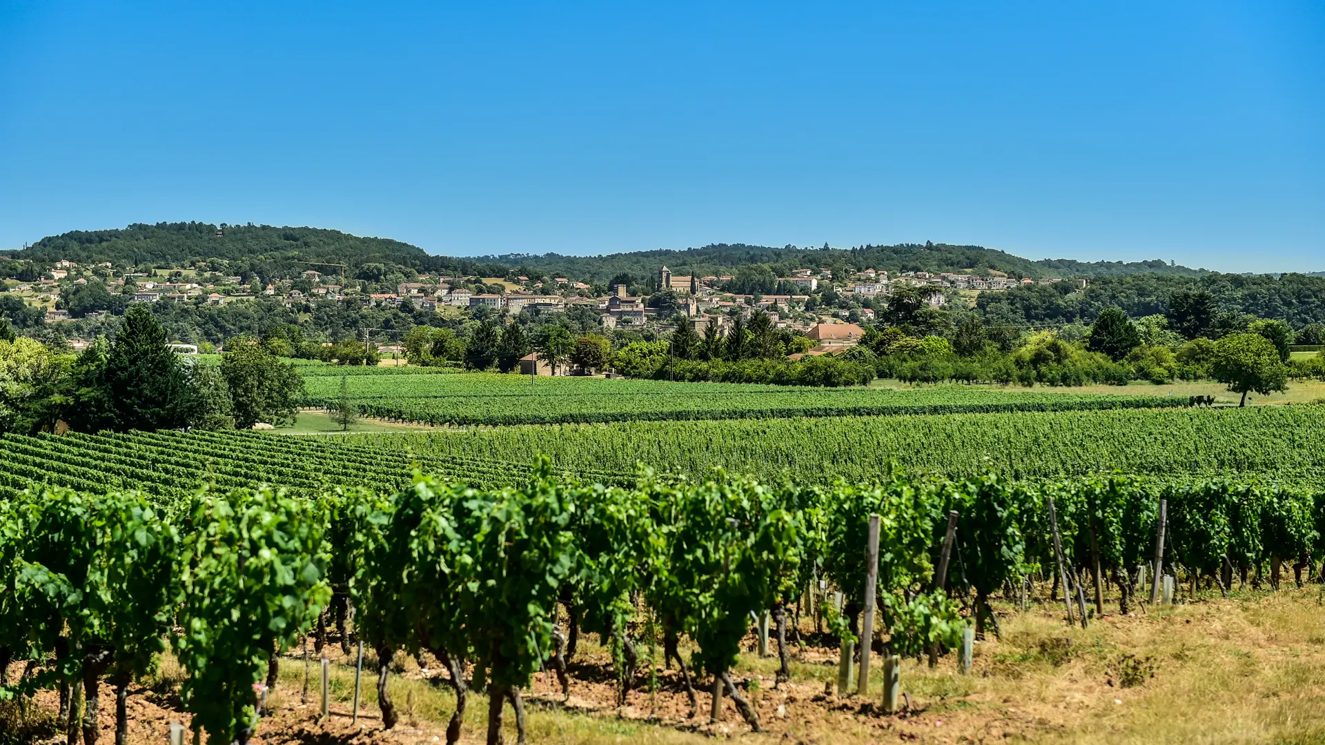 Les vignes du Clos Triguedina avec vue sur Puy L'Evêque_15 © Lot Tourisme - C. ORY