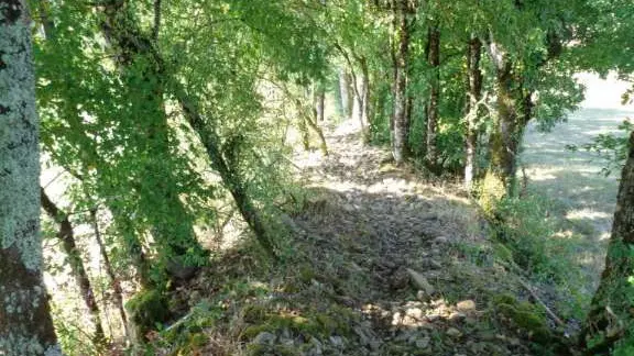 Ligneyrac - Tour de la vicomté 2 - VTT