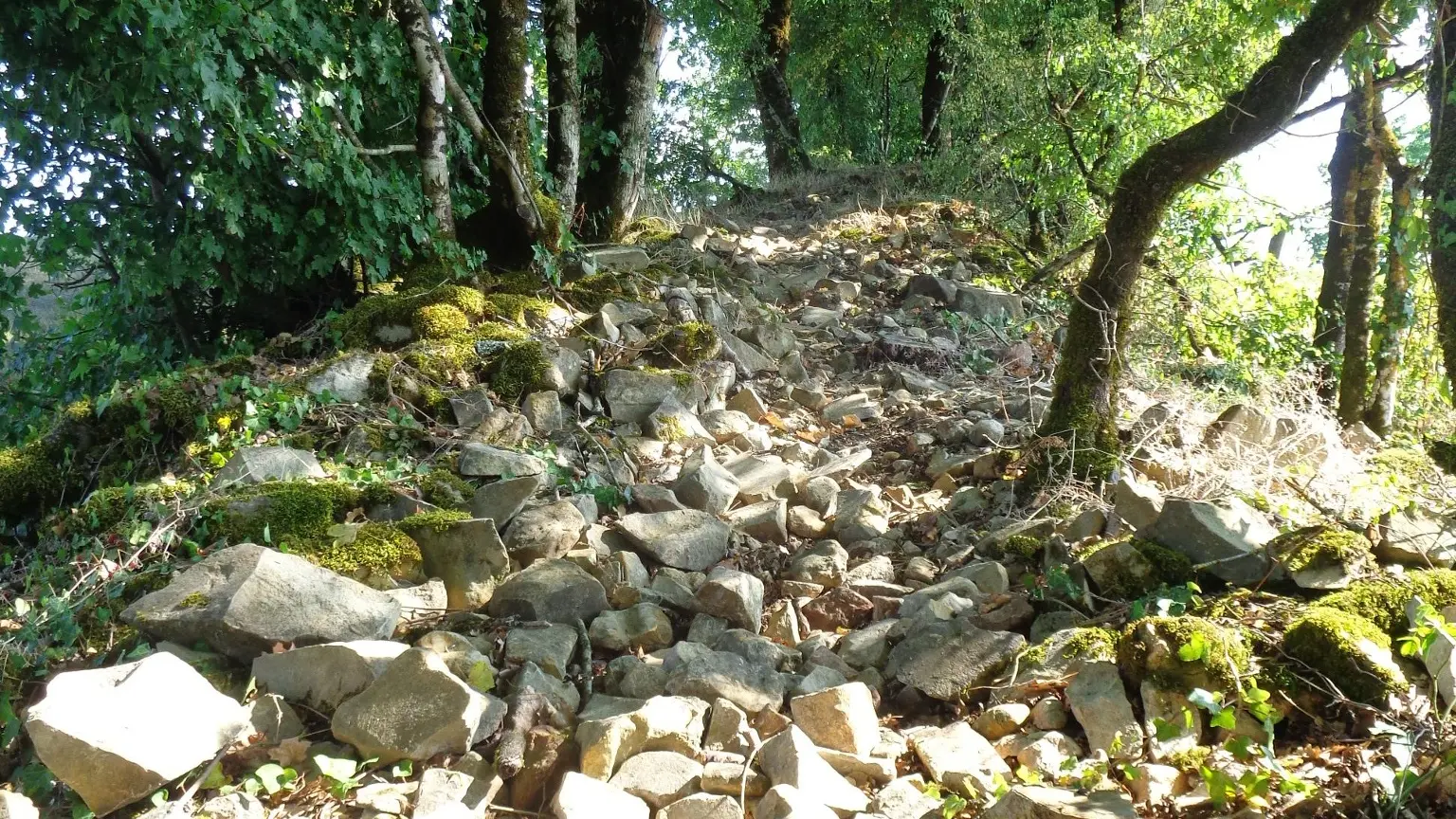 Ligneyrac - Tour de la vicomté 3 - VTT