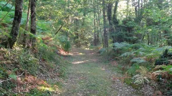 Lostanges - Balcon pays de brive 3 - VTT