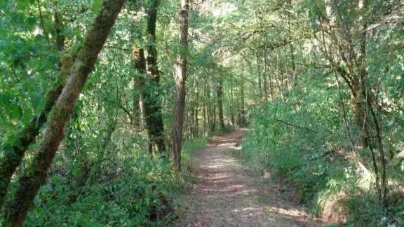 Lostanges - GRPMC 3 - VTT