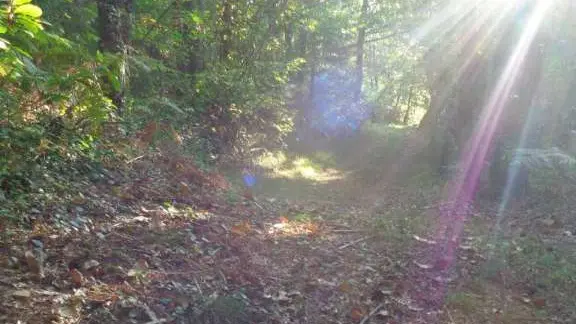 Lostanges - Monts et vallées 2 - VTT