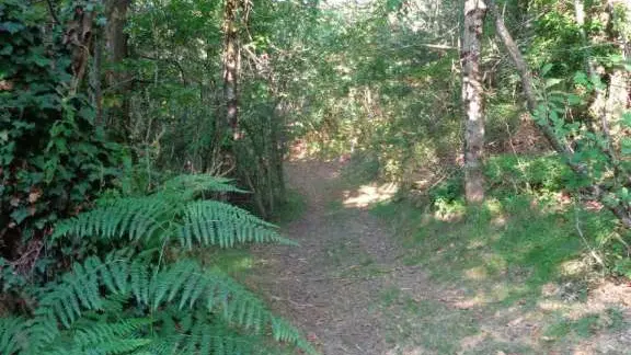 Lostanges - Monts et vallées 3 - VTT