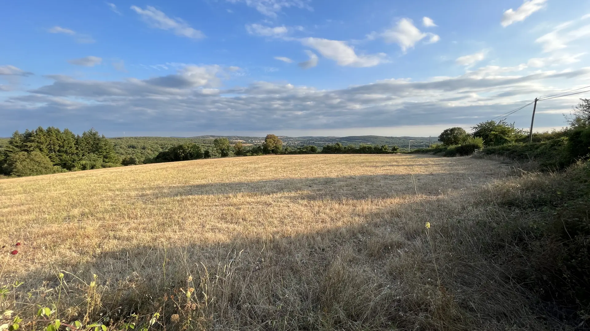 Vue sur le causse