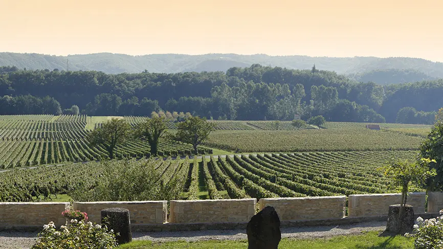 La VUE de la terrasse du Chateau de Cayx