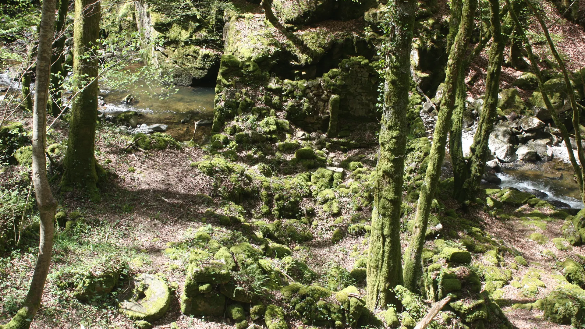 MOULIN DE MONFREU