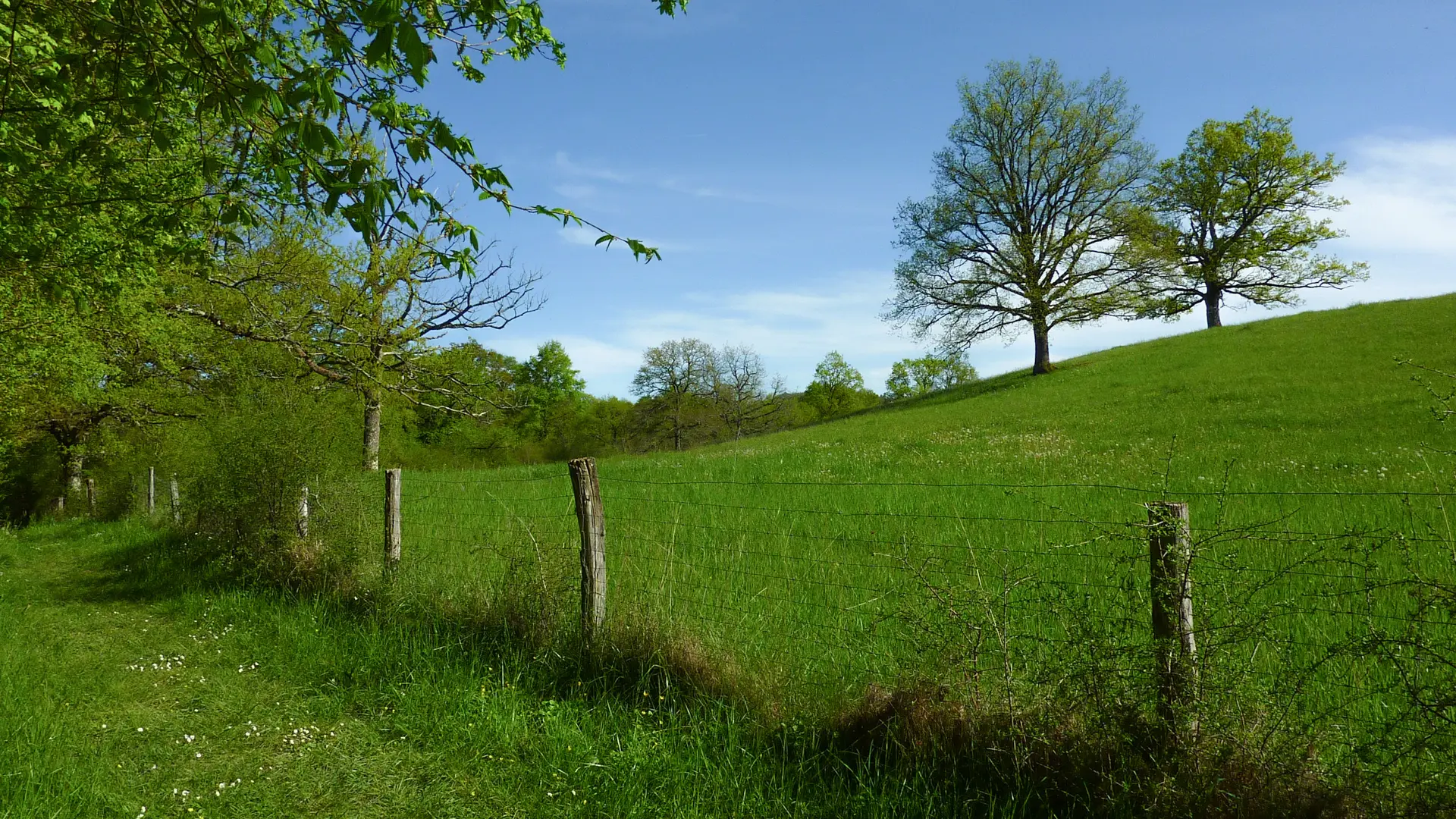 Marais de Bonnefont - Chemin herbeux contournant la coline © Lot Tourisme - C. Sanchez