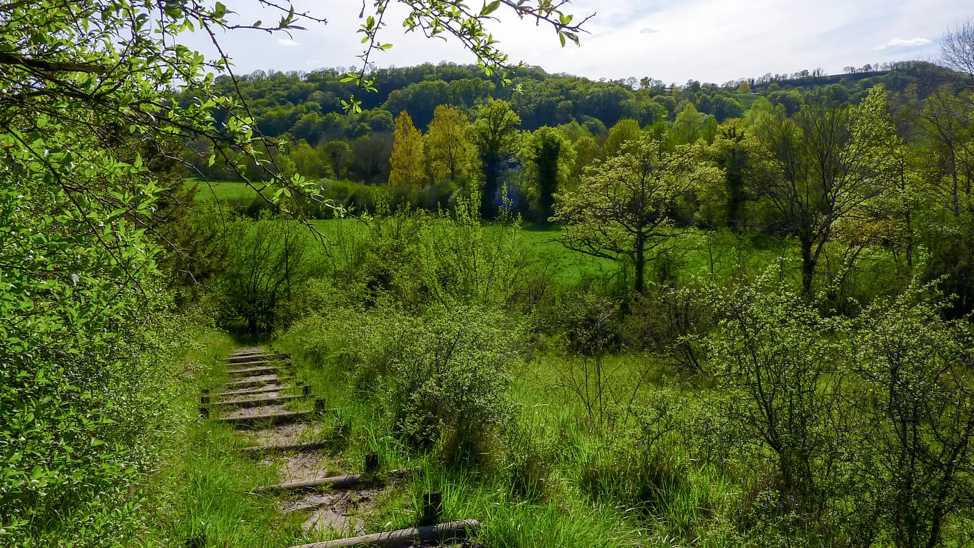 Marais de Bonnefont - Marches aménagées © Lot Tourisme - C. Sanchez