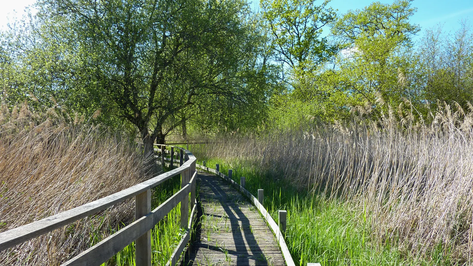 Marais de Bonnefont -Parcours sur pilotis © Lot Tourisme - C. Sanchez