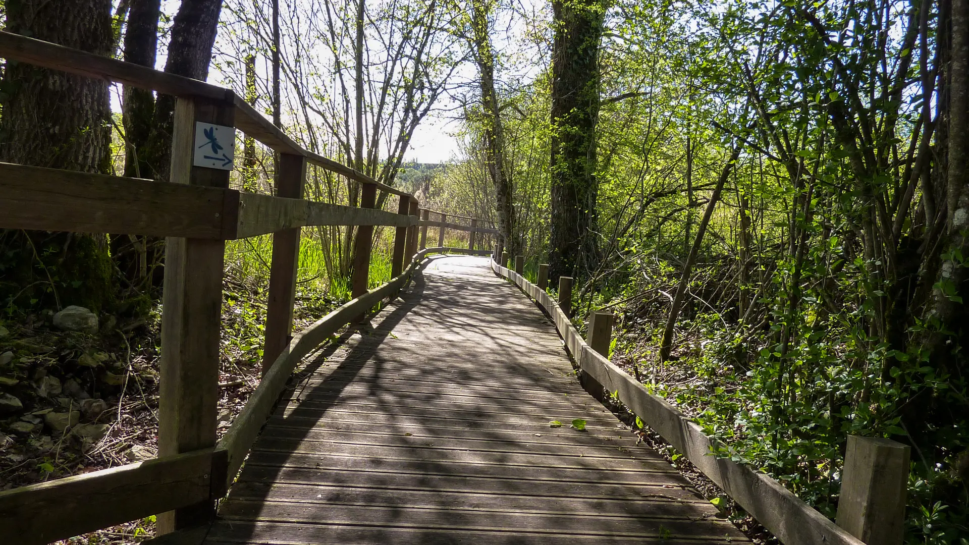 Marais de Bonnefont -Parcours sur pilotis _04 © Lot Tourisme - C. Sanchez