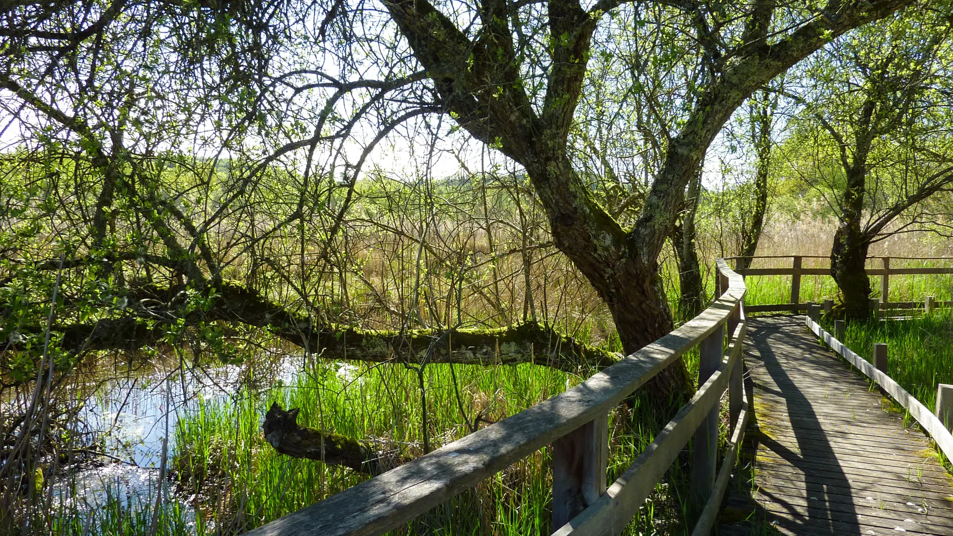 Marais de bonnefont - Mayrinhac-Lentour © Lot Tourisme - C. Sanchez