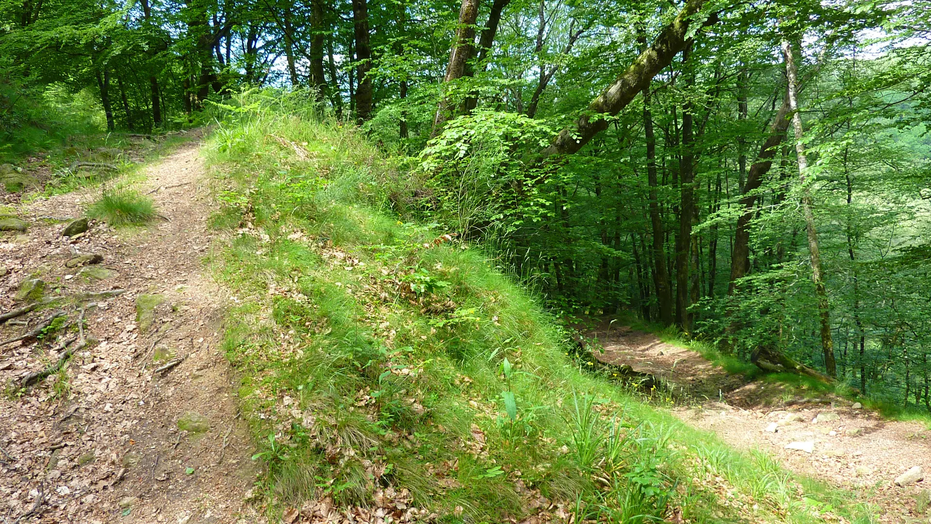Marraufin - Descente en lacet _10 © Lot Tourisme - C. Sanchez