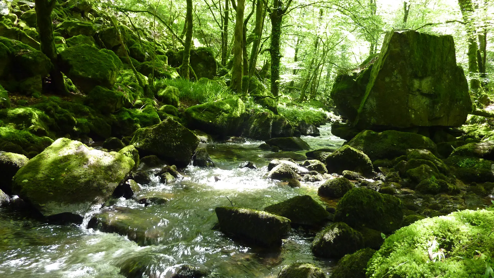 Marraufin - Ruisseau de Cayla_12 © Lot Tourisme - C. Sanchez
