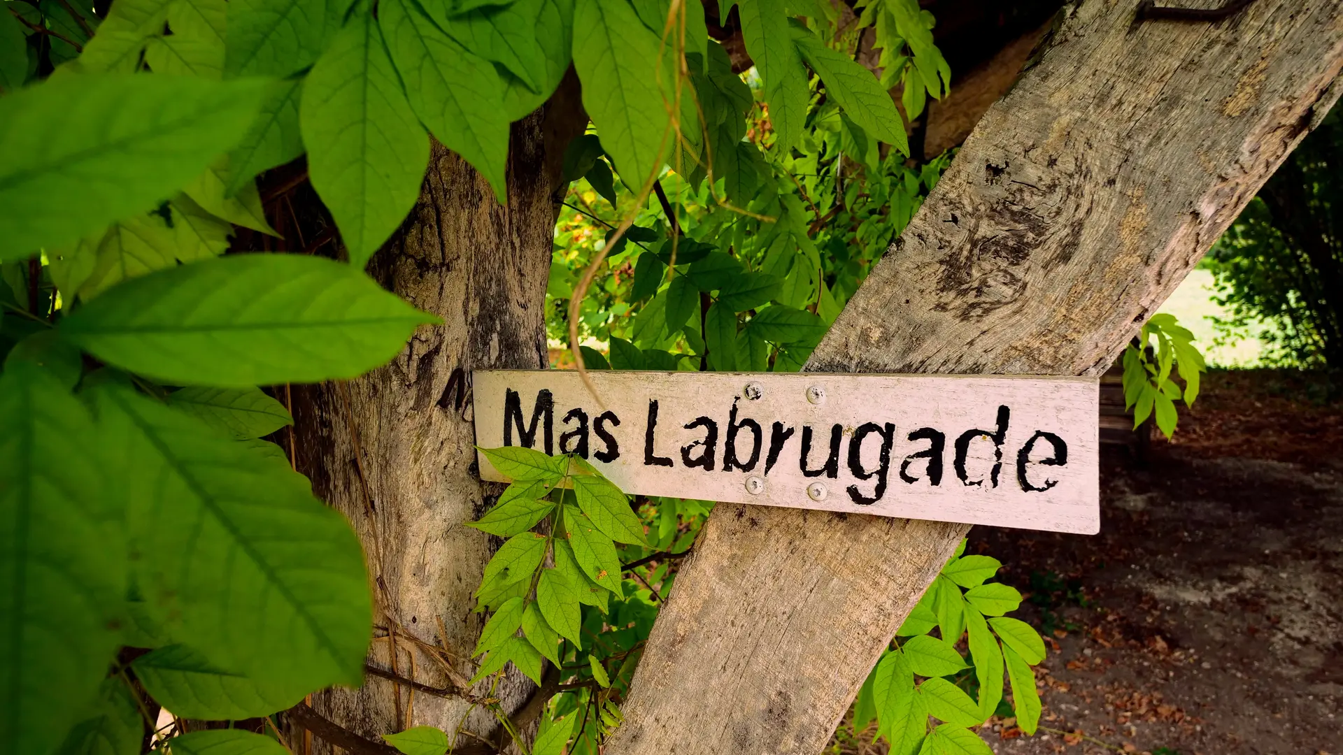 Mas Labrugade