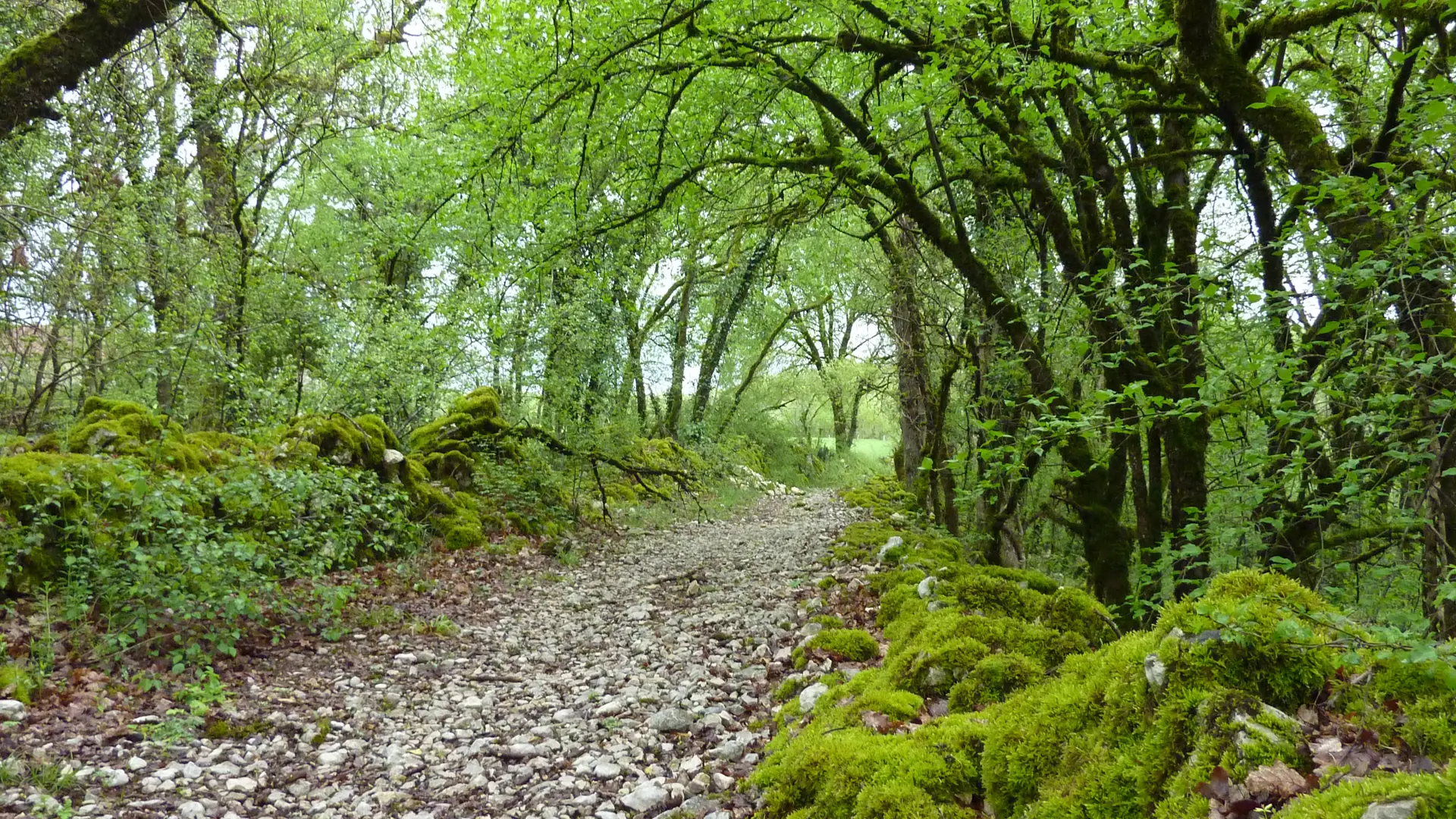 Mas de Coulié - Chemin de pierres © Lot Tourisme - C. Sanchez