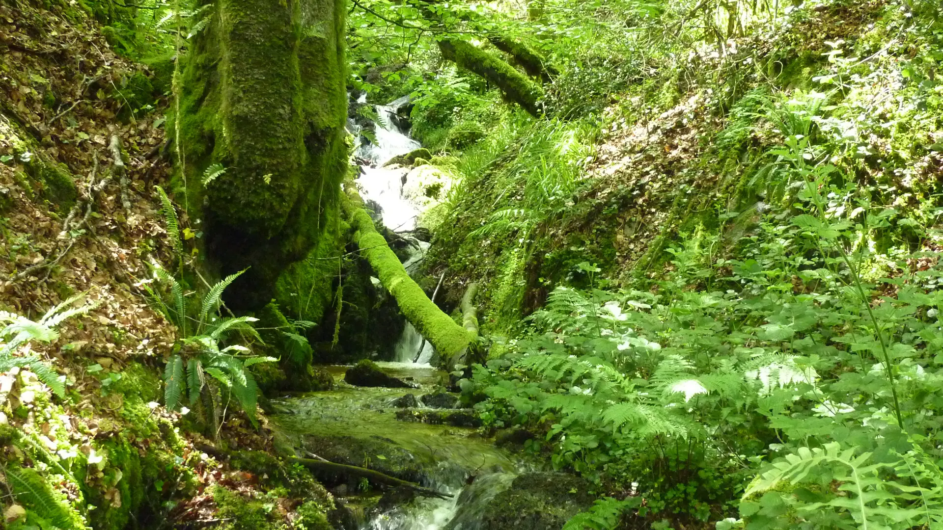 Maurraufin - Source_13 © Lot Tourisme - C. Sanchez