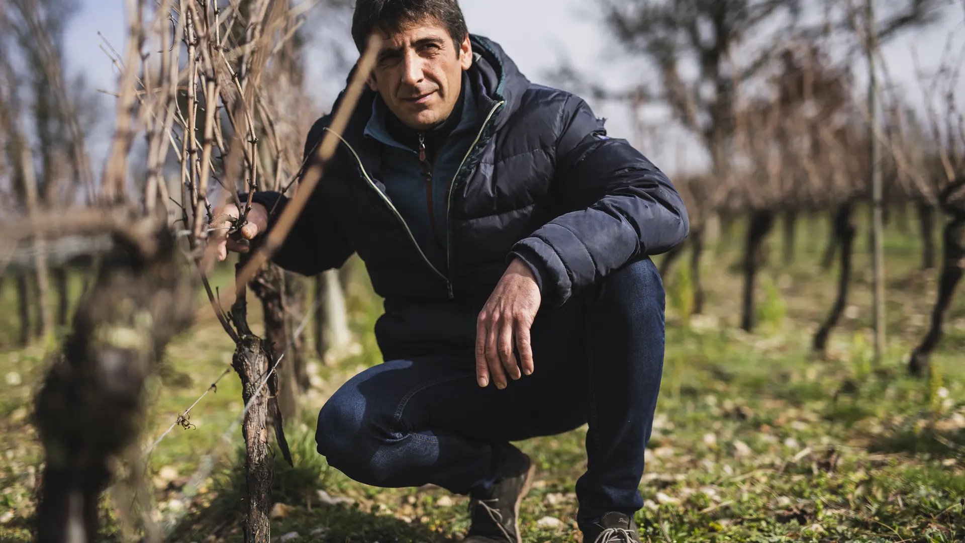 Anthony, petit fils de Mémé dans ses vignes