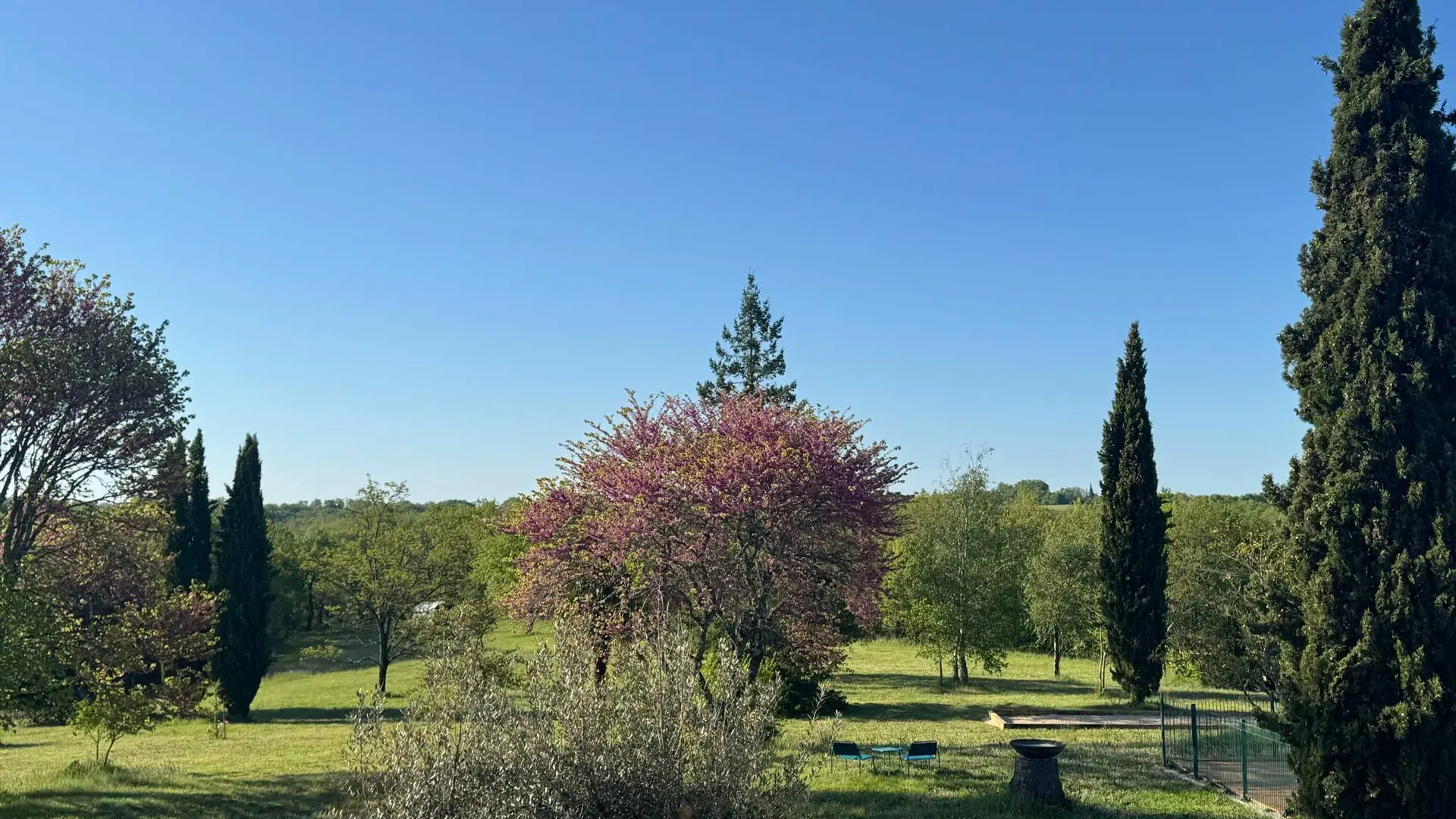 jardin