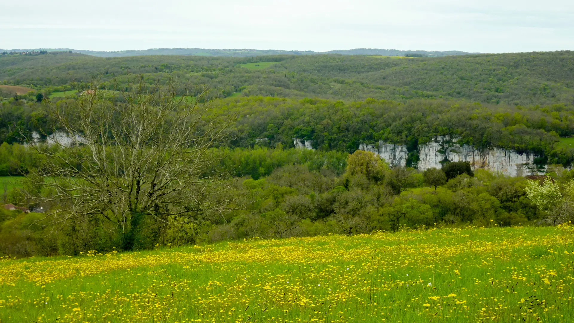 Miramont - Grandes étendues surplombant la vallée © Lot Tourisme - C. Sanchez