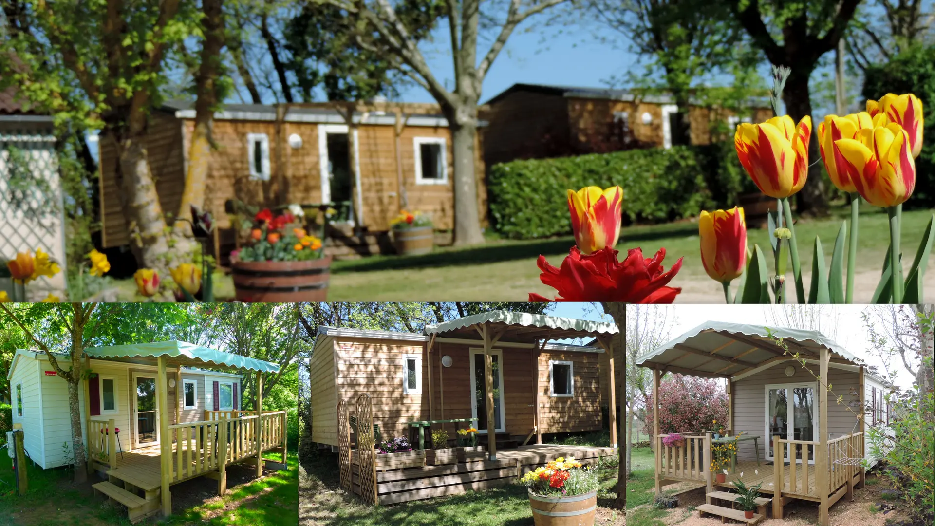 Montage m-home site 20161