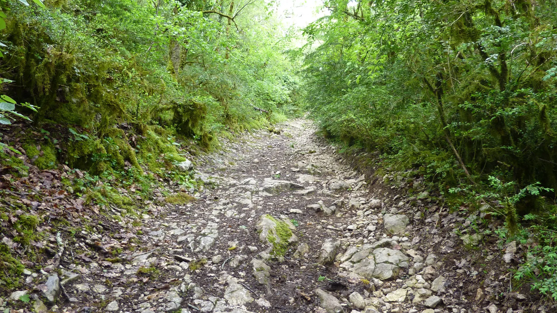 Montée sur le Roc de Colonjat_08 © Lot Tourisme - C. Sanchez