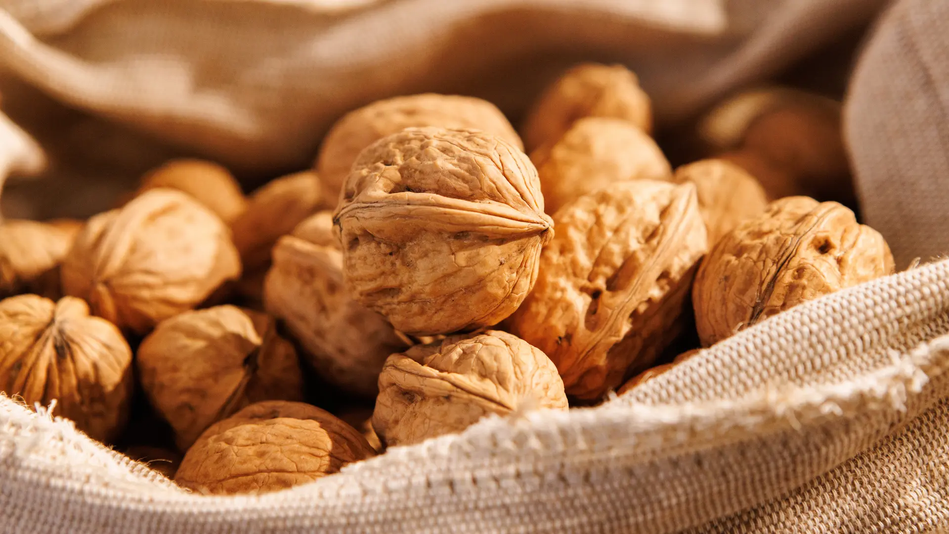 Noix Bio AOP du Périgord