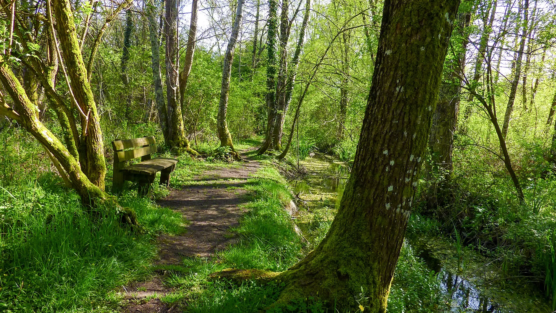 Mrais de Bonnefont - Pause le long du ruisseau  _13 © Lot Tourisme - C. Sanchez
