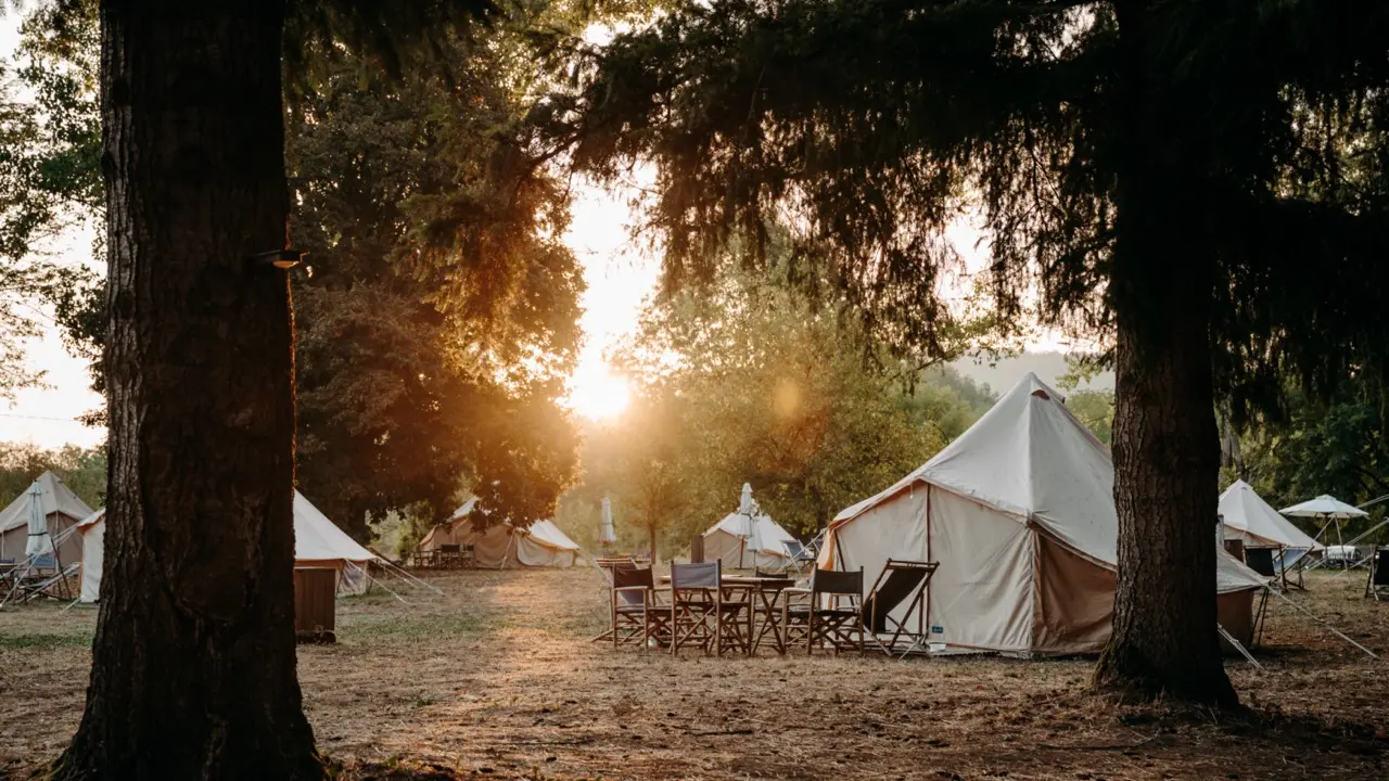 LODG'ING NATURE CAMP