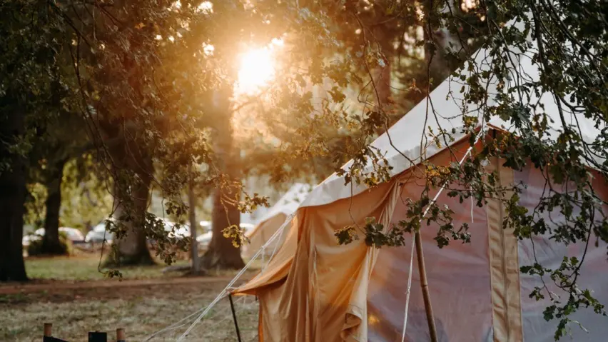LODG'ING NATURE CAMP